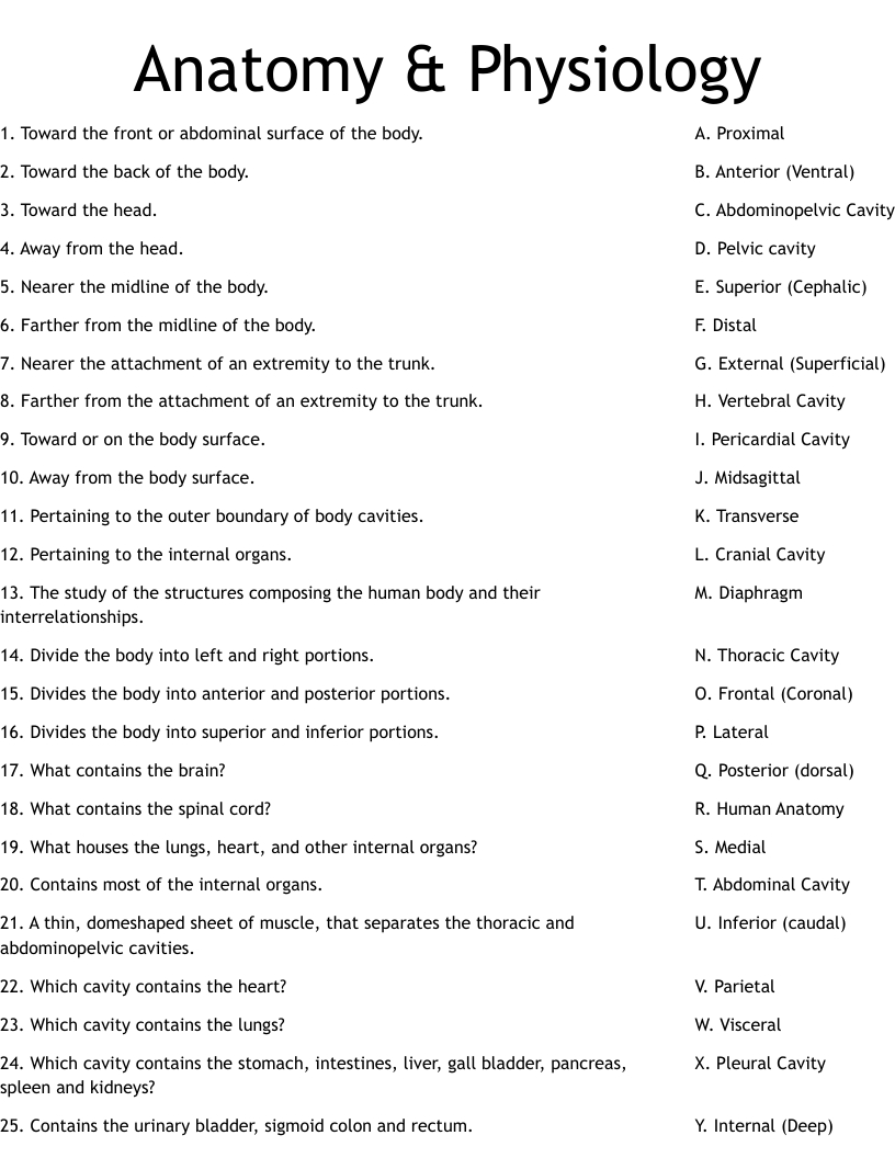 Anatomy & Physiology Worksheet - Wordmint for Anatomy And Physiology Printable Worksheets