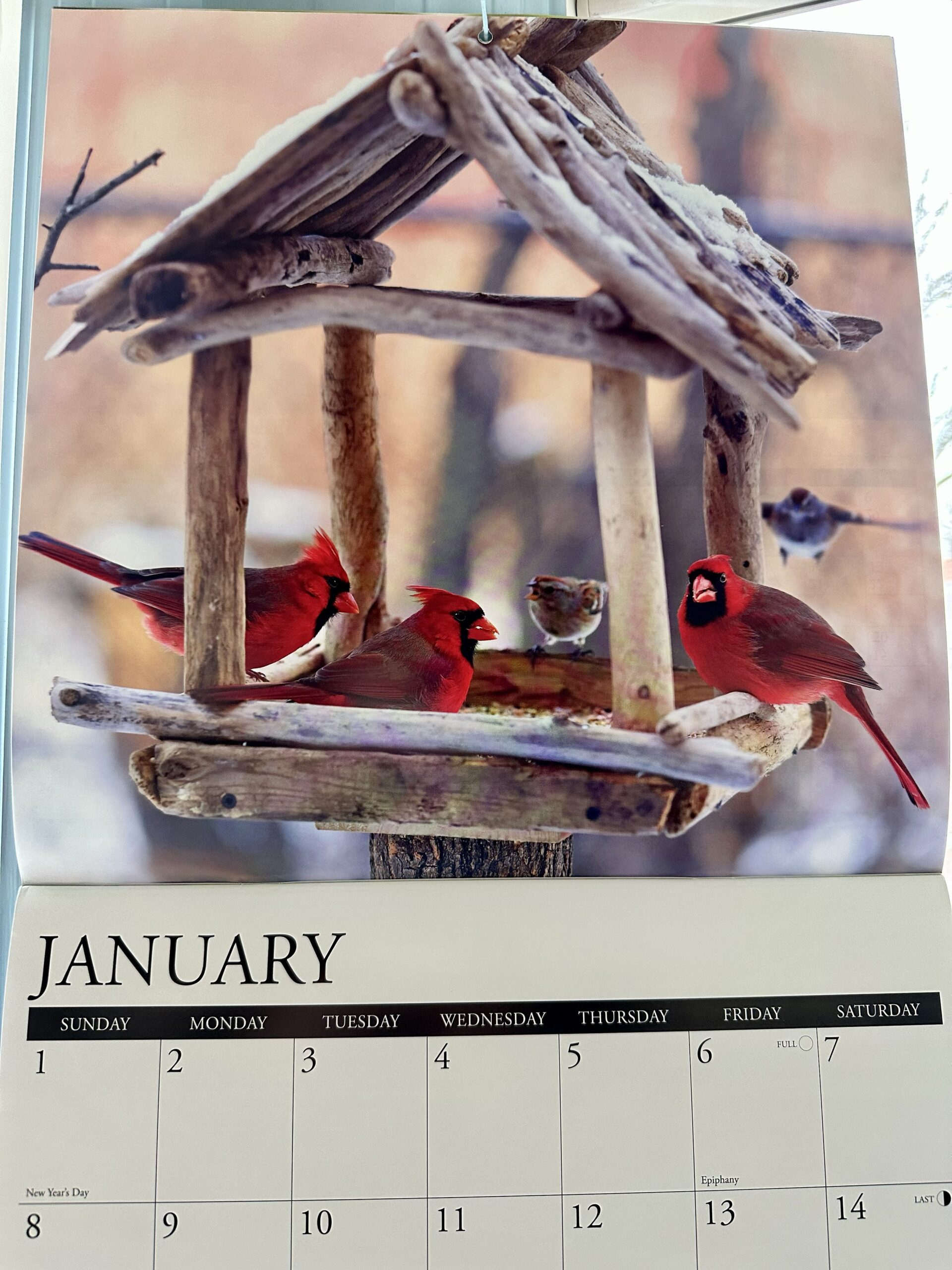 Anita Blake – Laurell K. Hamilton throughout Anita Blake Series in Order Printable List