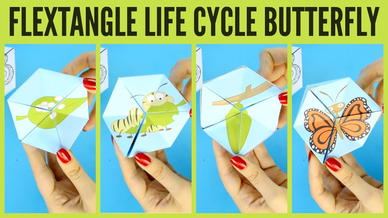 Butterfly Life Cycle Paper Toy Template - Flextangle Printable regarding Printable Butterfly Life Cycle Craft