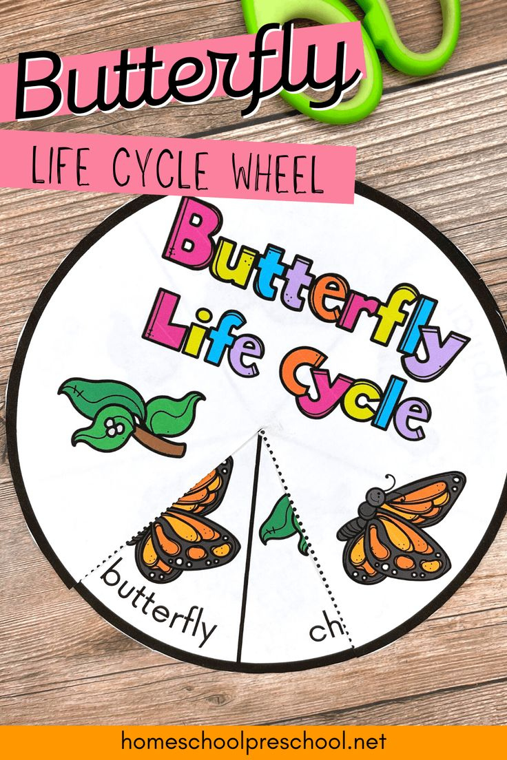 Free Printable Butterfly Life Cycle Wheel with Printable Butterfly Life Cycle Craft