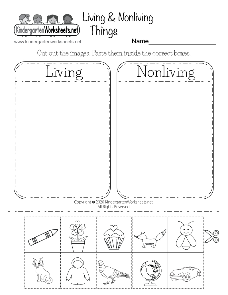 Living And Nonliving Things Worksheet - Free Printable, Digital, & Pdf in Free Printable Science Worksheets For Kindergarten