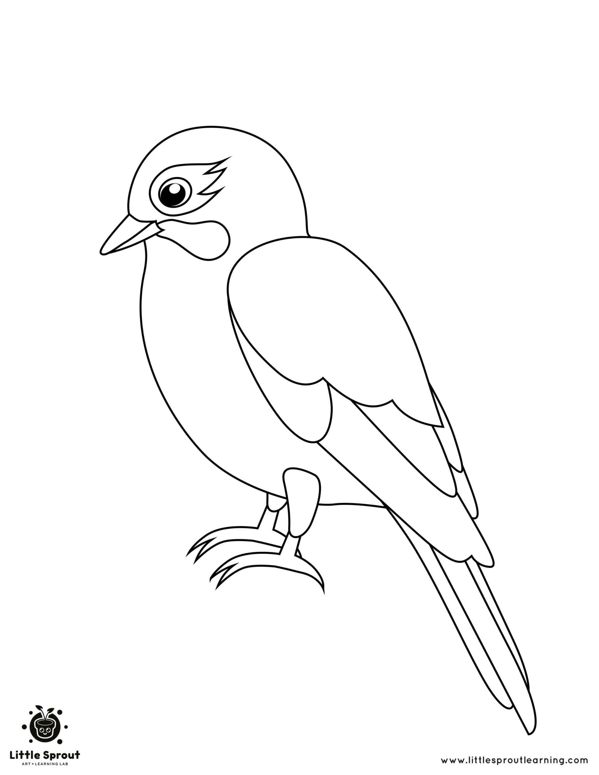 Printable Bird Colouring Pages For Your Child within Printable Picture of a Bird
