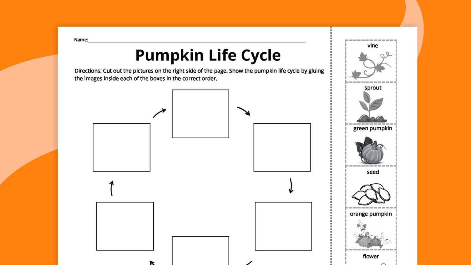 Pumpkin Life Cycle Worksheets For Kids (Free Printables) regarding Life Cycle of a Pumpkin Printable Free