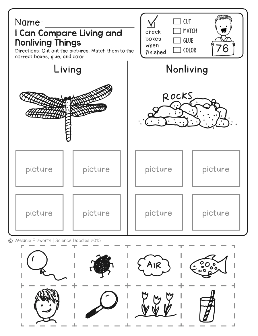 Science Worksheets For Kindergarten (Free Printables) - Worksheets for Free Printable Kindergarten Science Worksheets