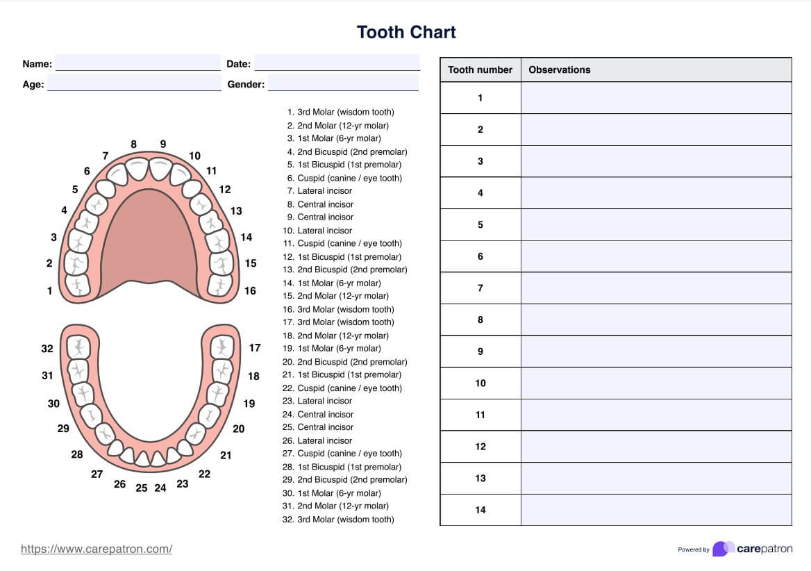 Tooth Charts in Printable Tooth Chart with Numbers
