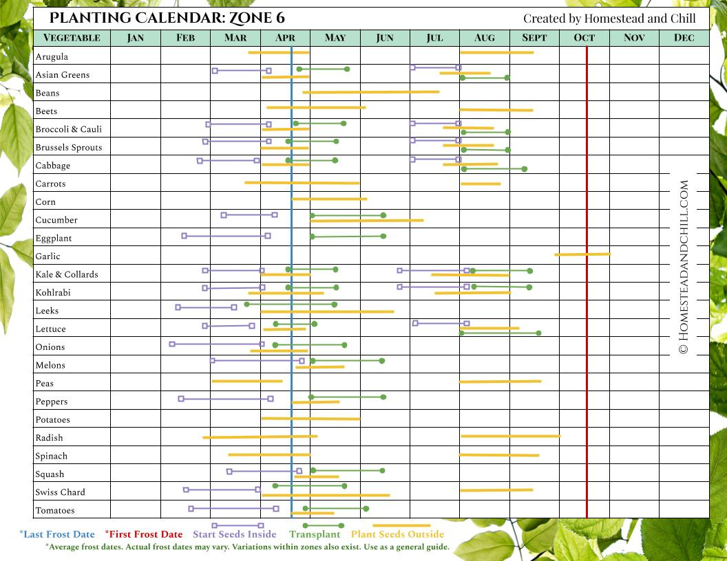 When To Start Seeds Indoors: Planting Calendars For Every Zone pertaining to Printable Zone 6 Planting Schedule